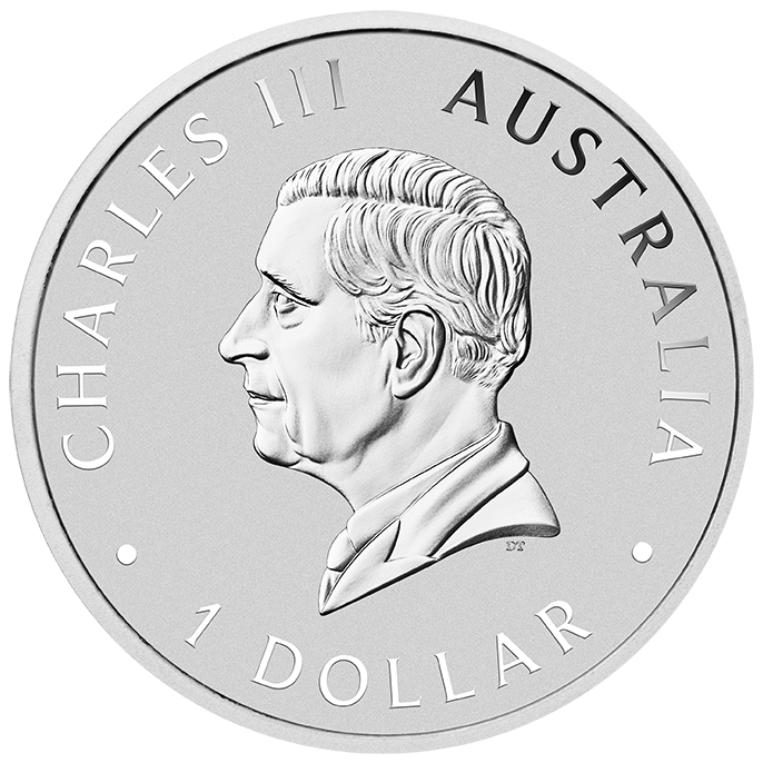 2025 $1 1oz Silver Colouted Coin. Australian Emu.
