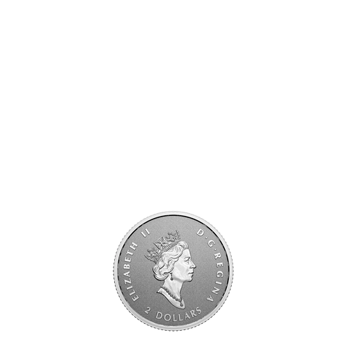 2022 Fine Silver Maple Leaf Fractional Set - A Radiant Crown
