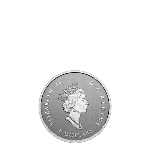 2022 Fine Silver Maple Leaf Fractional Set - A Radiant Crown