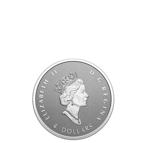 2022 Fine Silver Maple Leaf Fractional Set - A Radiant Crown