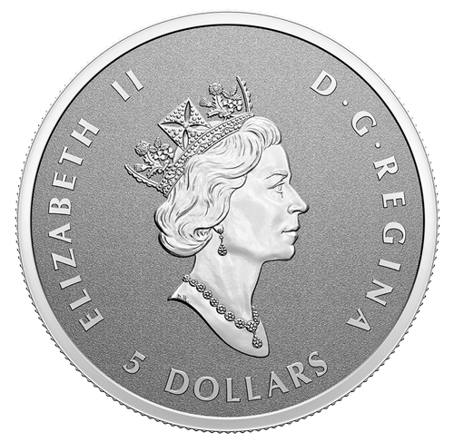 2022 Fine Silver Maple Leaf Fractional Set - A Radiant Crown