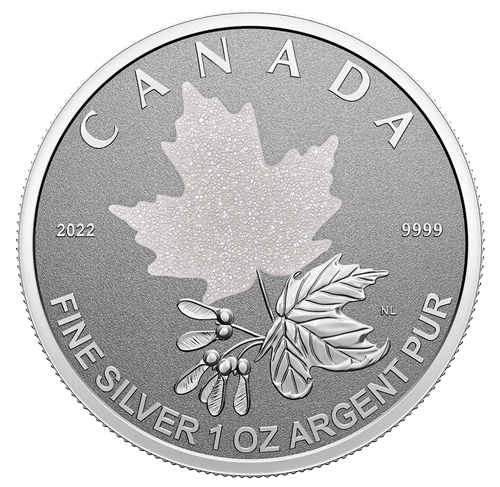 2022 Fine Silver Maple Leaf Fractional Set - A Radiant Crown