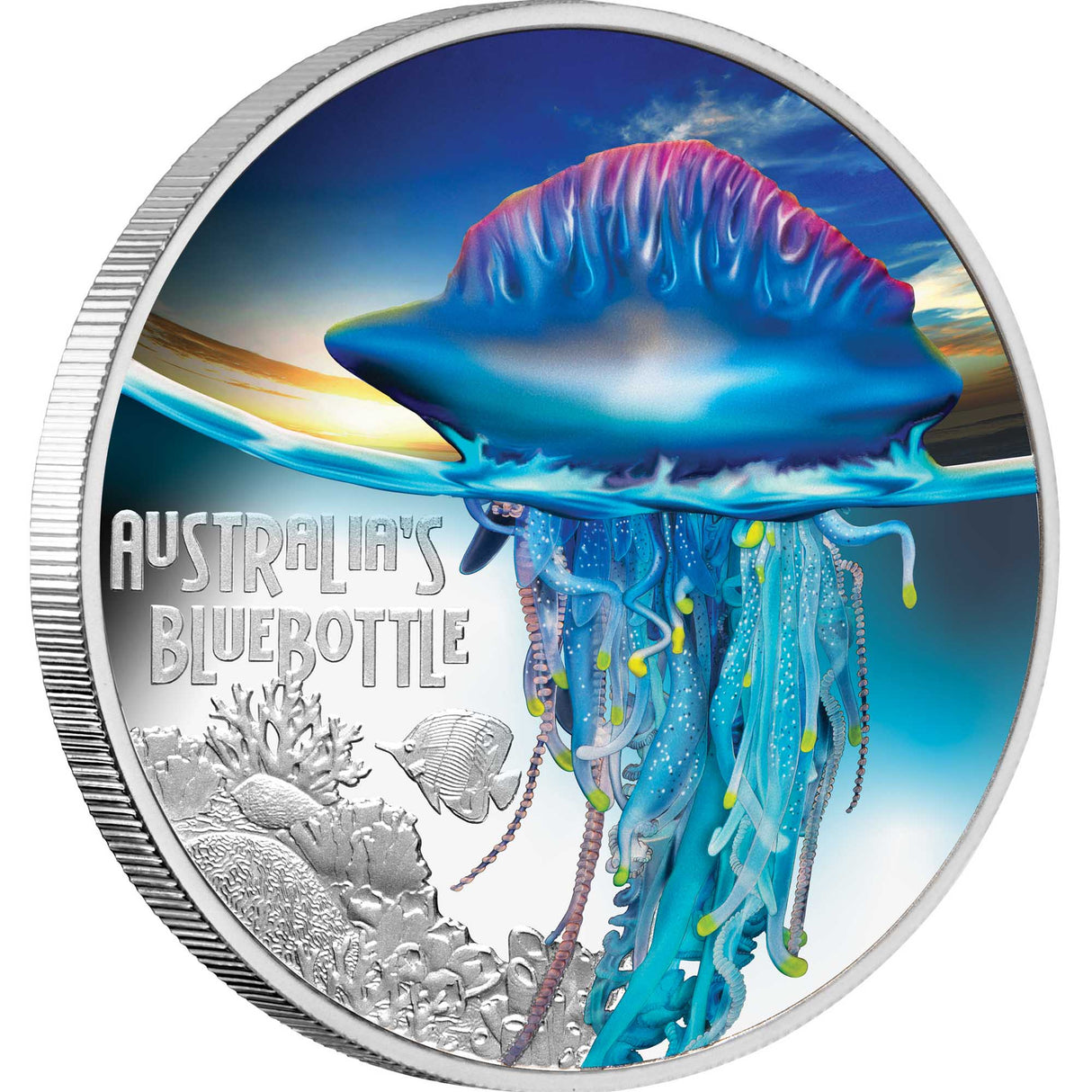 2024 Deadly and Dangerous Australia's Bluebottle 1oz Silver Proof Coloured Coin