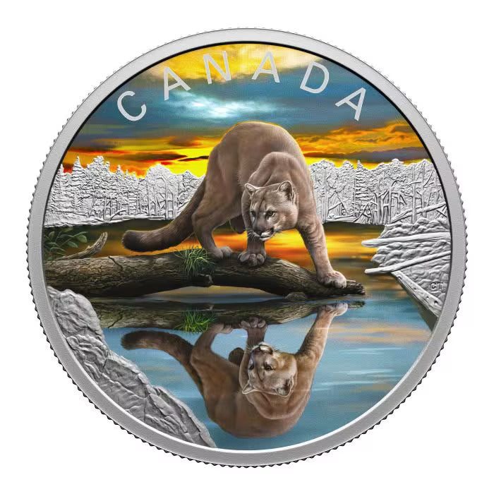Canada Wildlife Reflections: Cougar 2024 1oz .9999 Silver Proof Coin