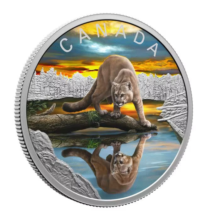 Canada Wildlife Reflections: Cougar 2024 1oz .9999 Silver Proof Coin