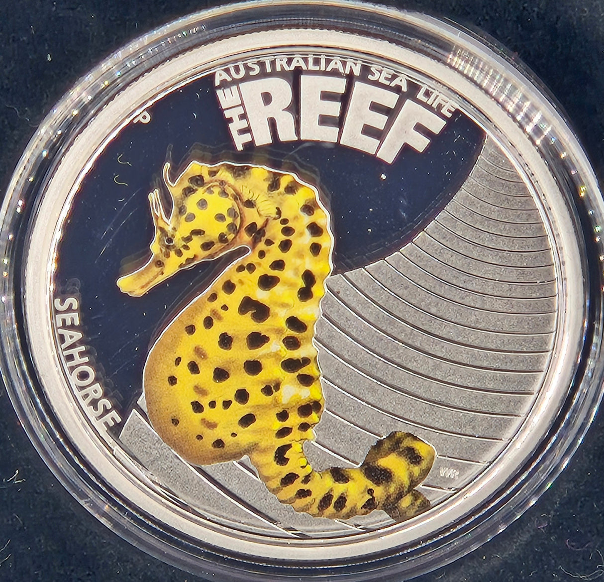 2010 Australian Sea Life The Reef Leafy SeaHorse 1/2 ounce silver proof coin.