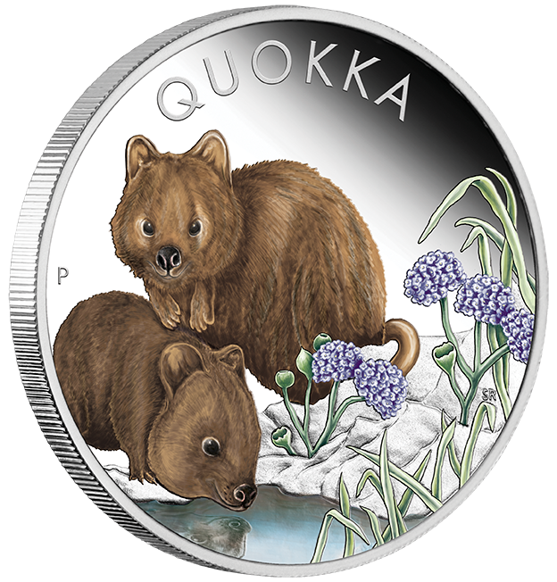 2023 AUSTRALIAN QUOKKA 1oz SILVER PROOF COLOURED COIN
