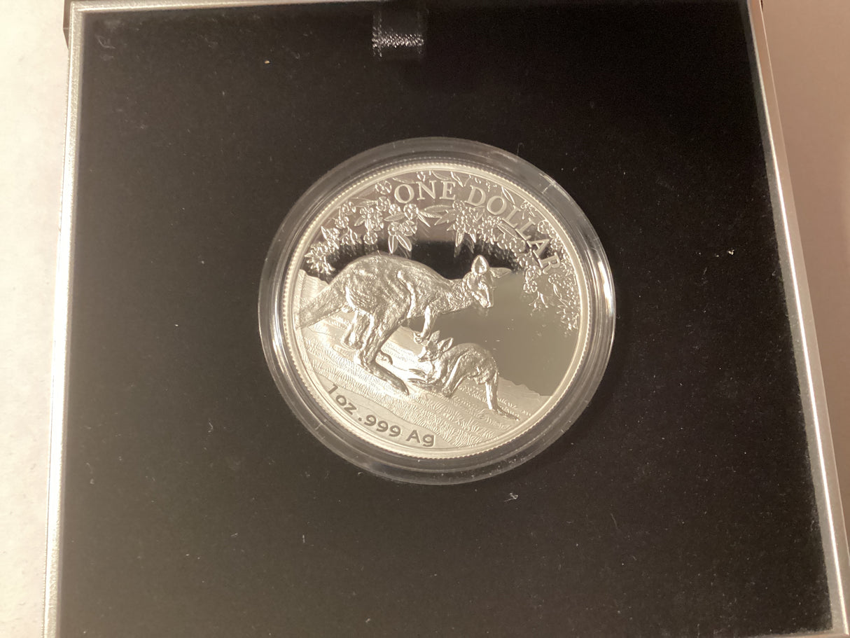 2017 $1 Kangaroo Series Fine Silver Proof Coin. Season Change.