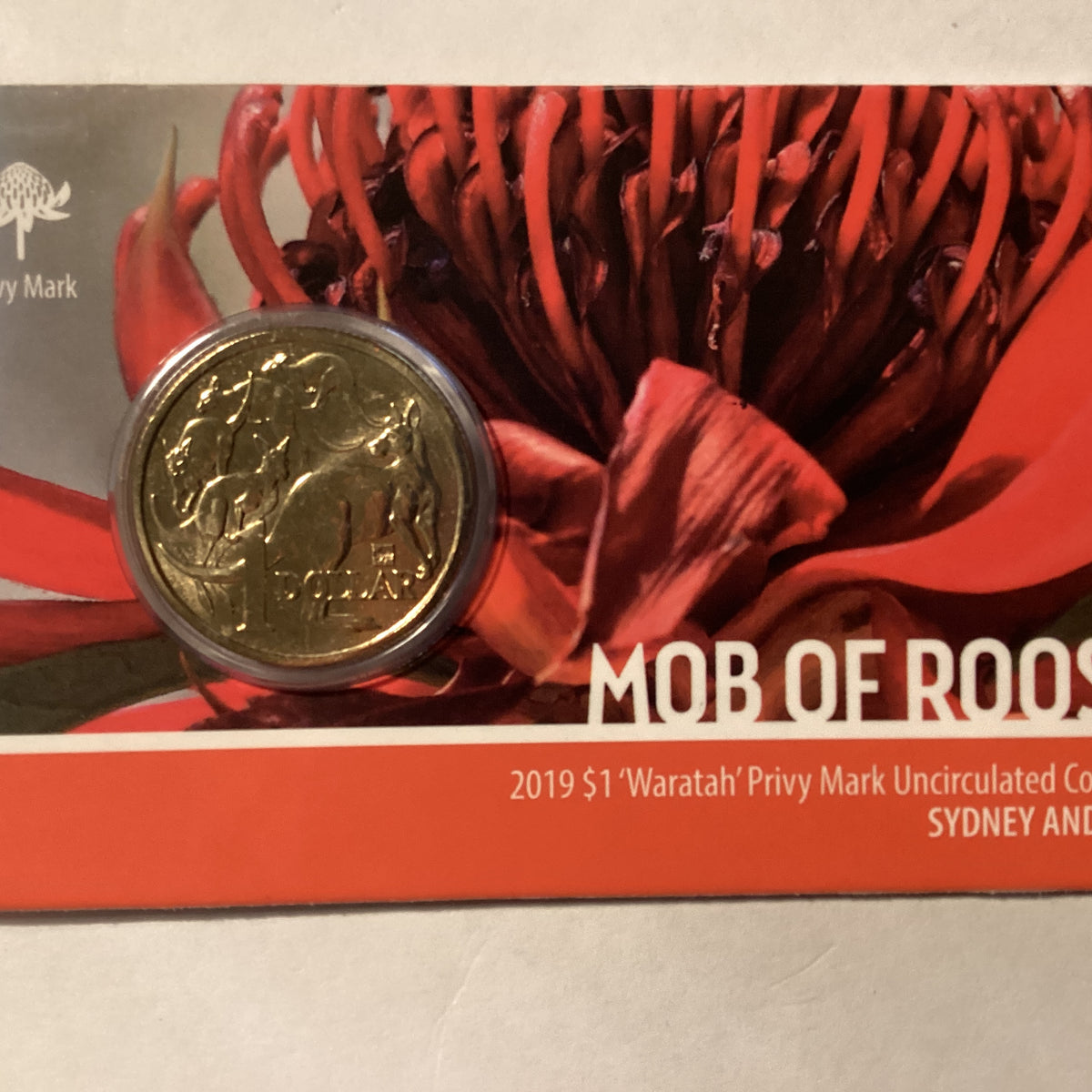 COIN AND PHONE PURSE WONDERING WARATAH main image 1