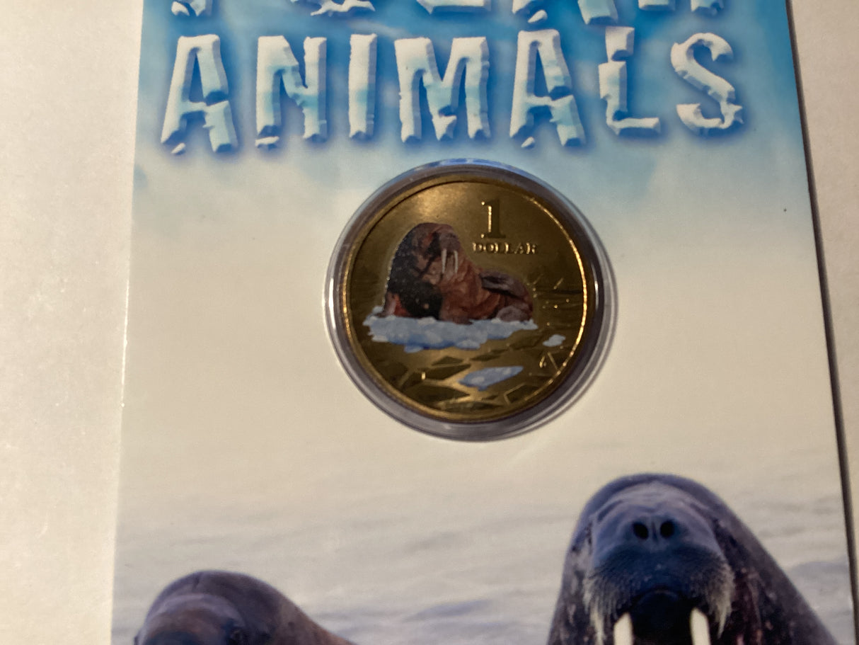 2013 $1 Colour Printed Coin. Polar Animals. Walrus.