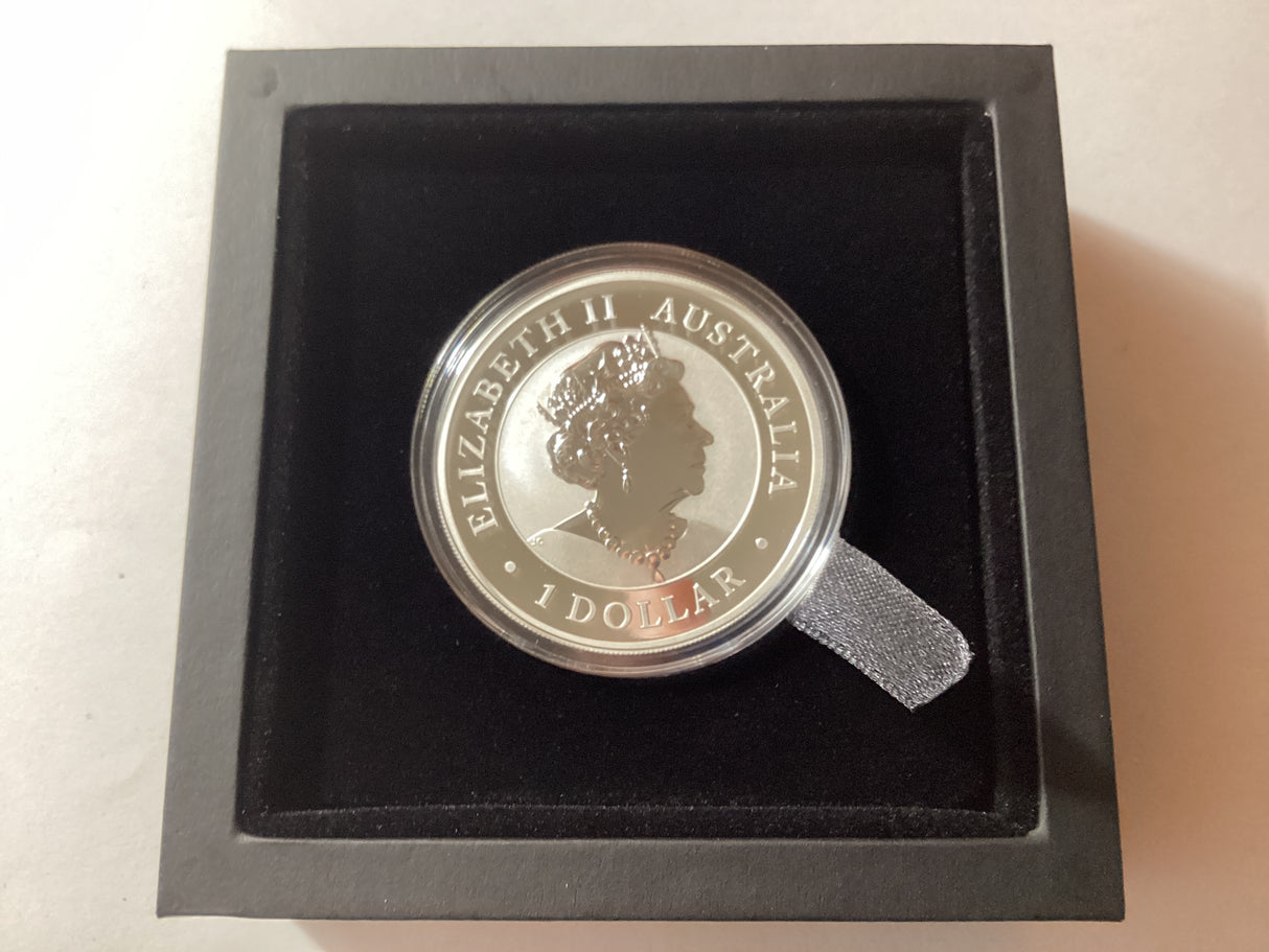 2021 $1 1oz Silver Coloured Proof Coin. Australian Koala. ANDA Brisbane.