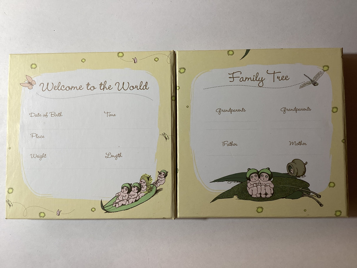 2015 50c 1/2oz Silver Proof Coloured Coin. Snugglepot and Cuddlepie.