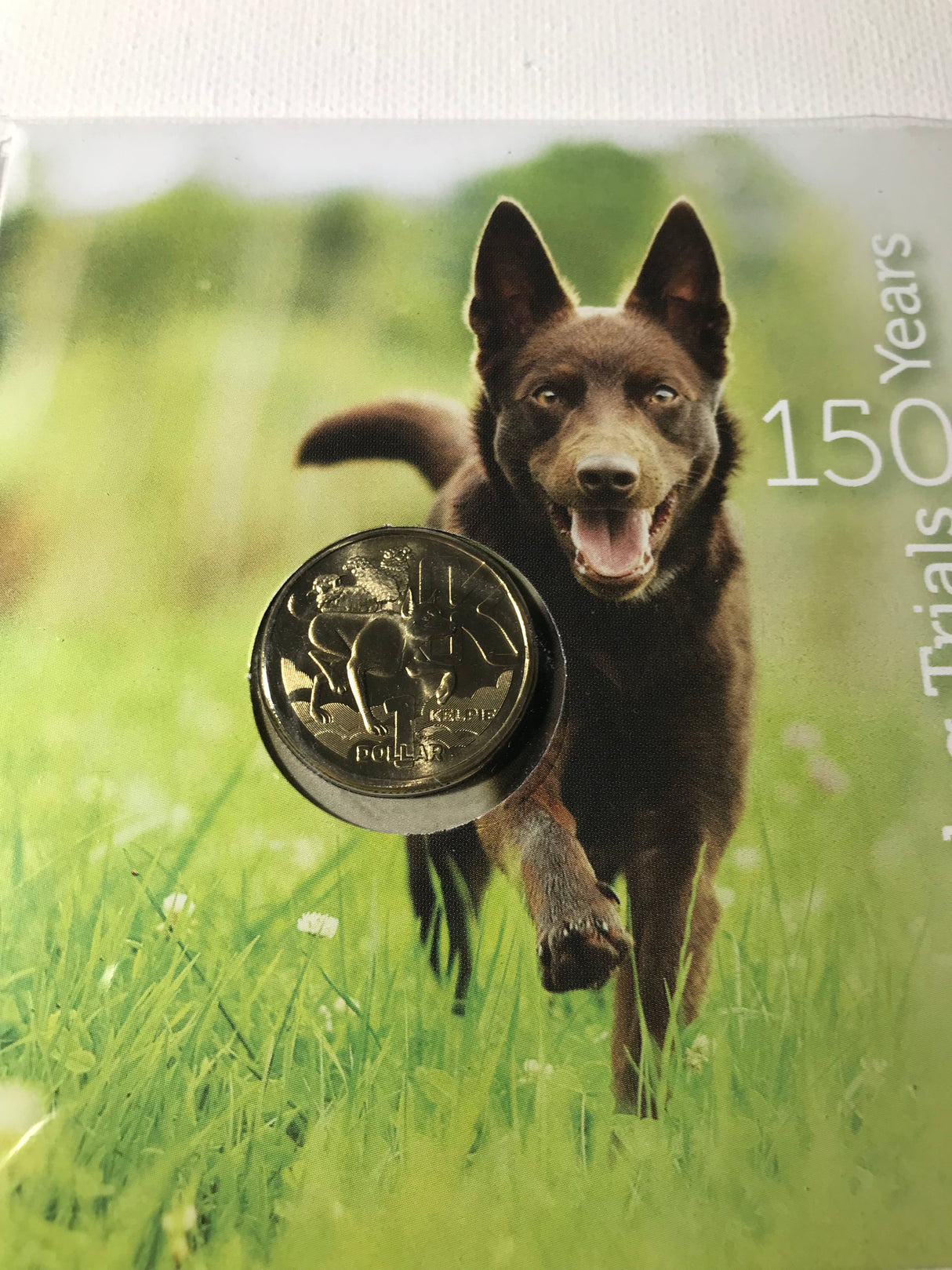 2022 $1 PNC 150 Years Of Sheepdog Trials. Kelpie
