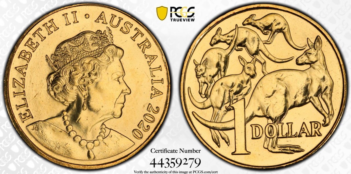 2020 $1 Mob of Roos PCGS MS66