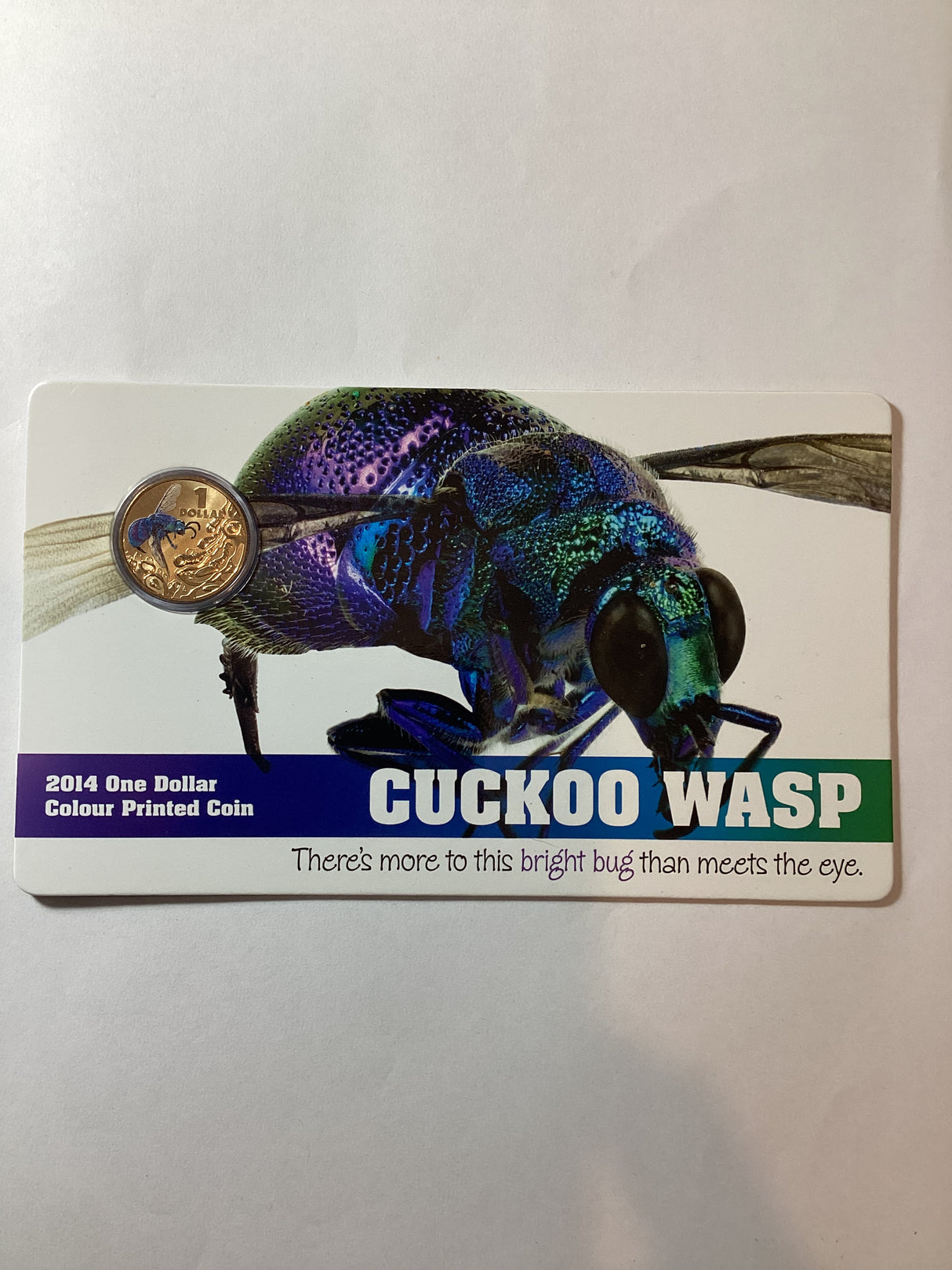 2014 $1 Cuckoo Wasp Colour Printed Coin