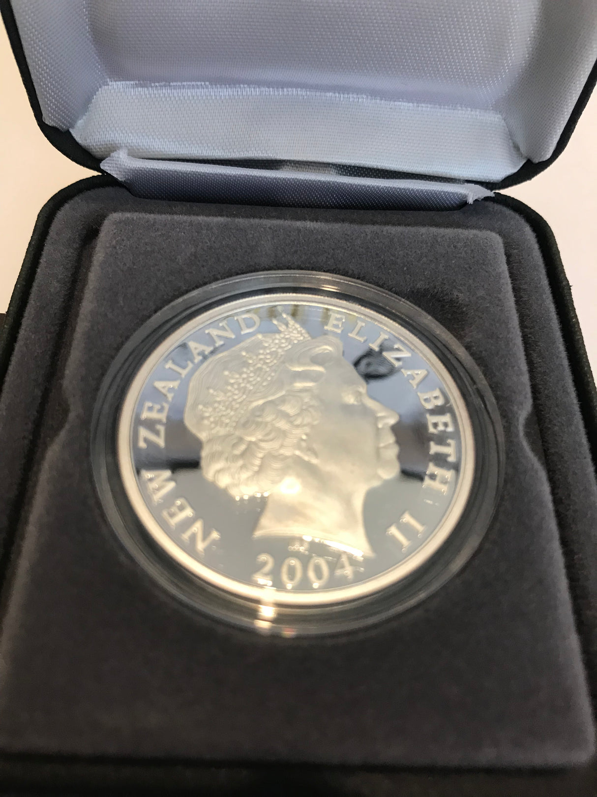 2004 $5 New Zealand Silver Frosted Coin