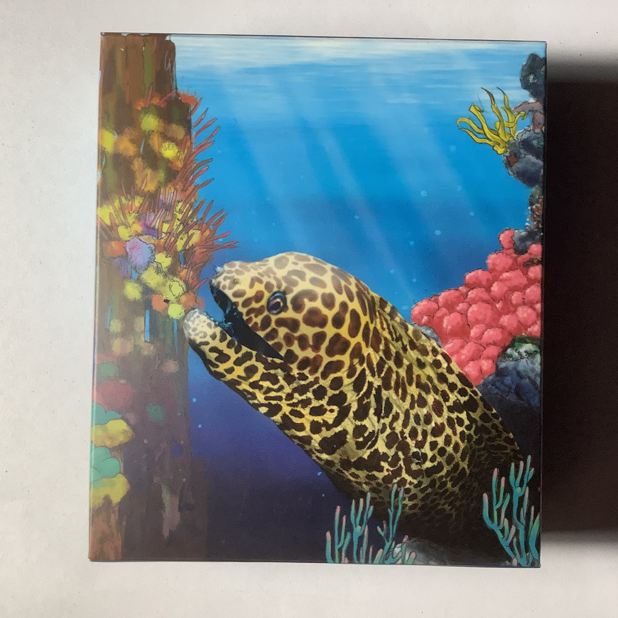 2010 Australian Sea Life The Reef Moray Eel 1/2 ounce silver proof coin