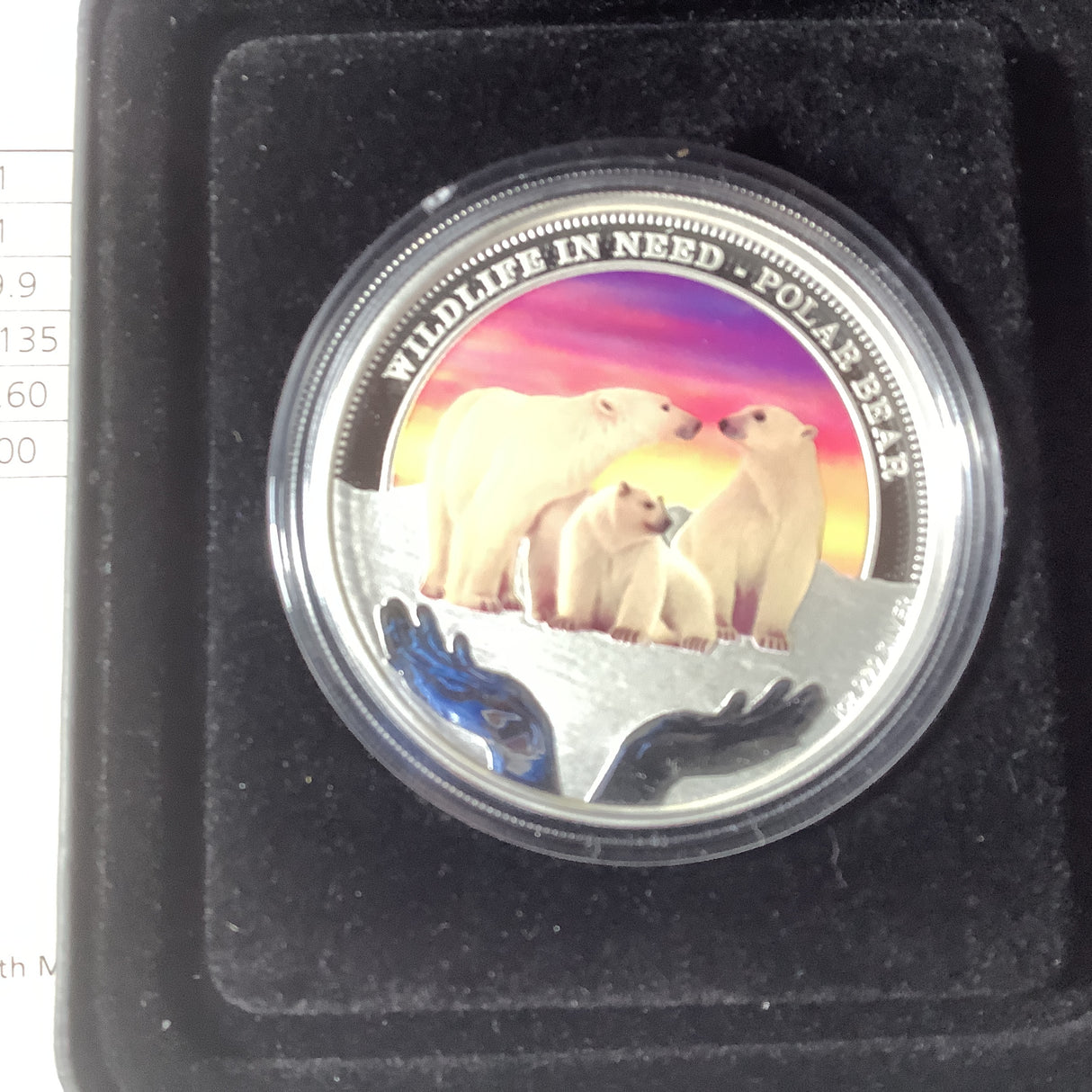 2012 Wildlife in need Polar Bear 1 Ounce Silver Proof Coloured Coin