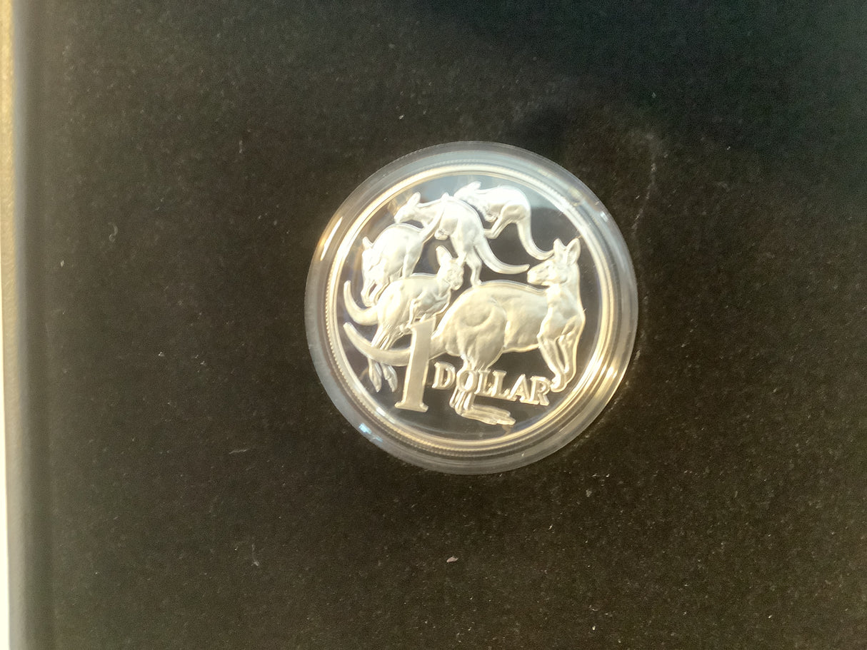 2014 $1 Fine Silver Proof High Relief Coin.