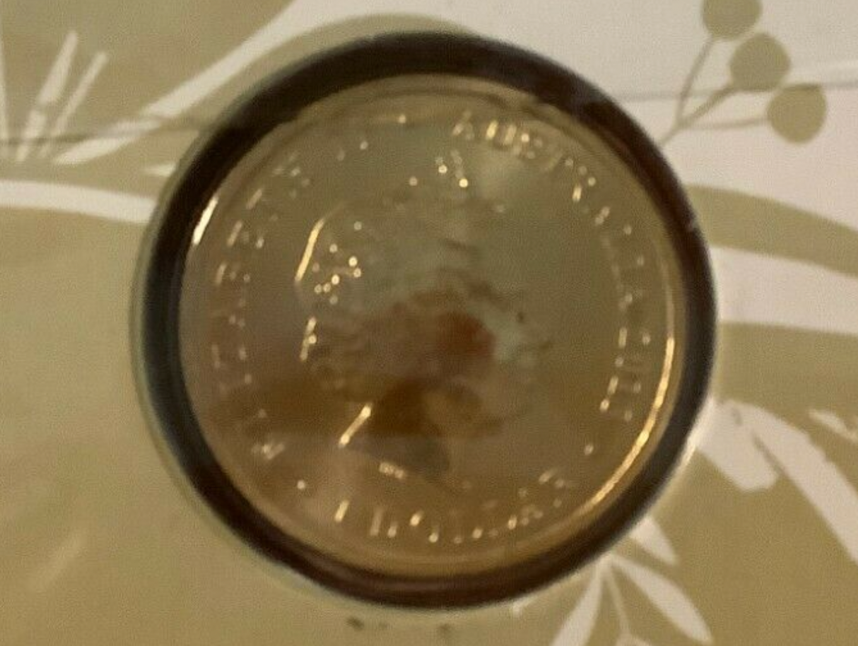 2013 Australia Bush Babies: Kookaburra PNC.