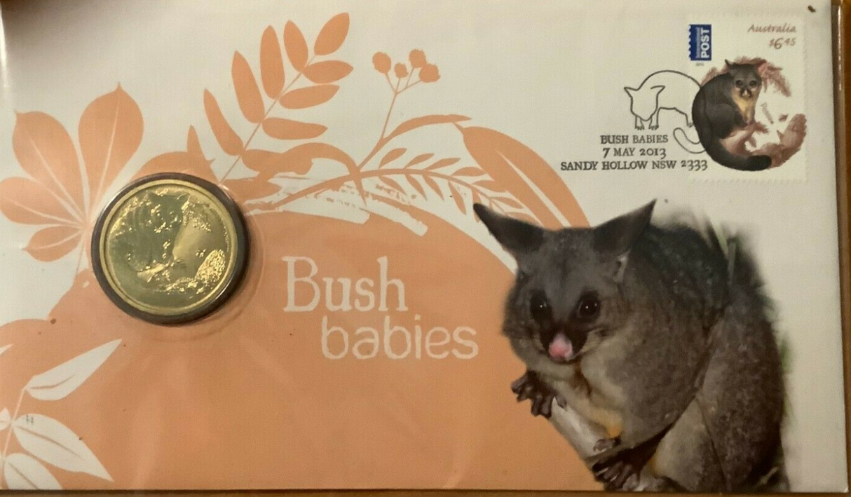 2013 PNC Bush Babies: Possum.