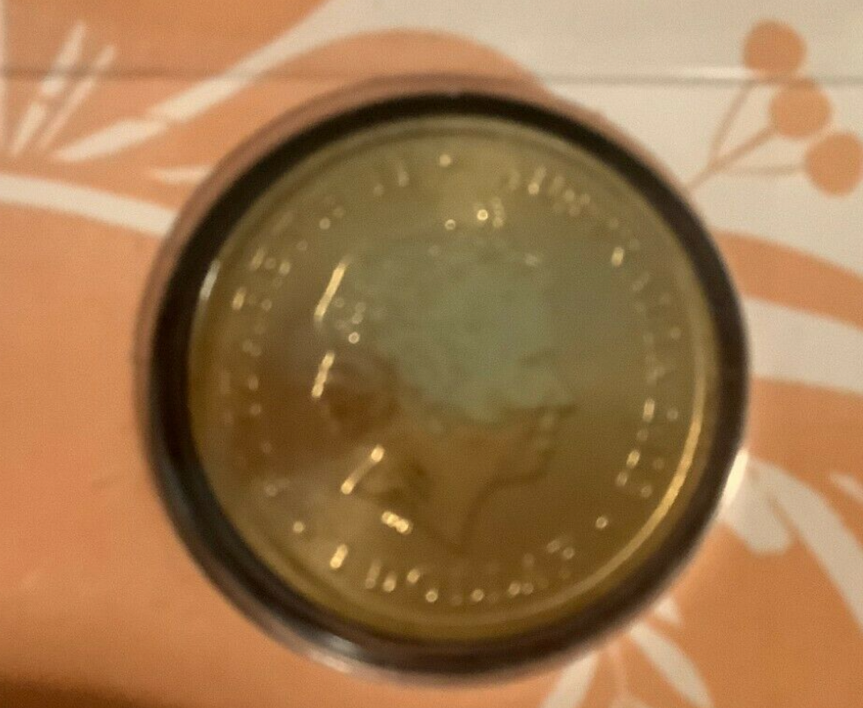 2013 PNC Bush Babies: Possum.