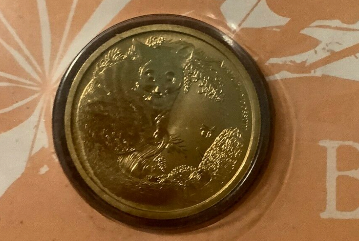 2013 PNC Bush Babies: Possum.