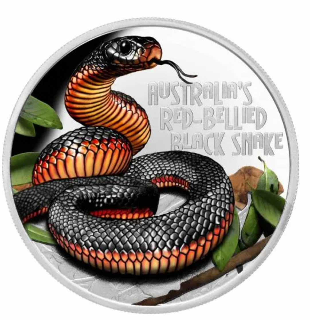 2022 $1 Deadly & Dangerous. Red-Bellied Black Snake.