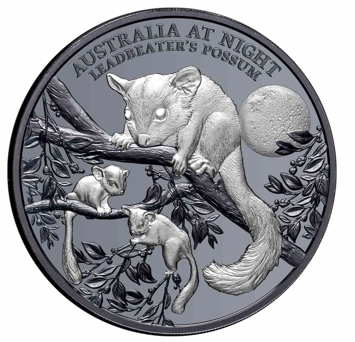 2022 1oz Silver Black Proof. Australia at Night: Leadbeater's Possum.
