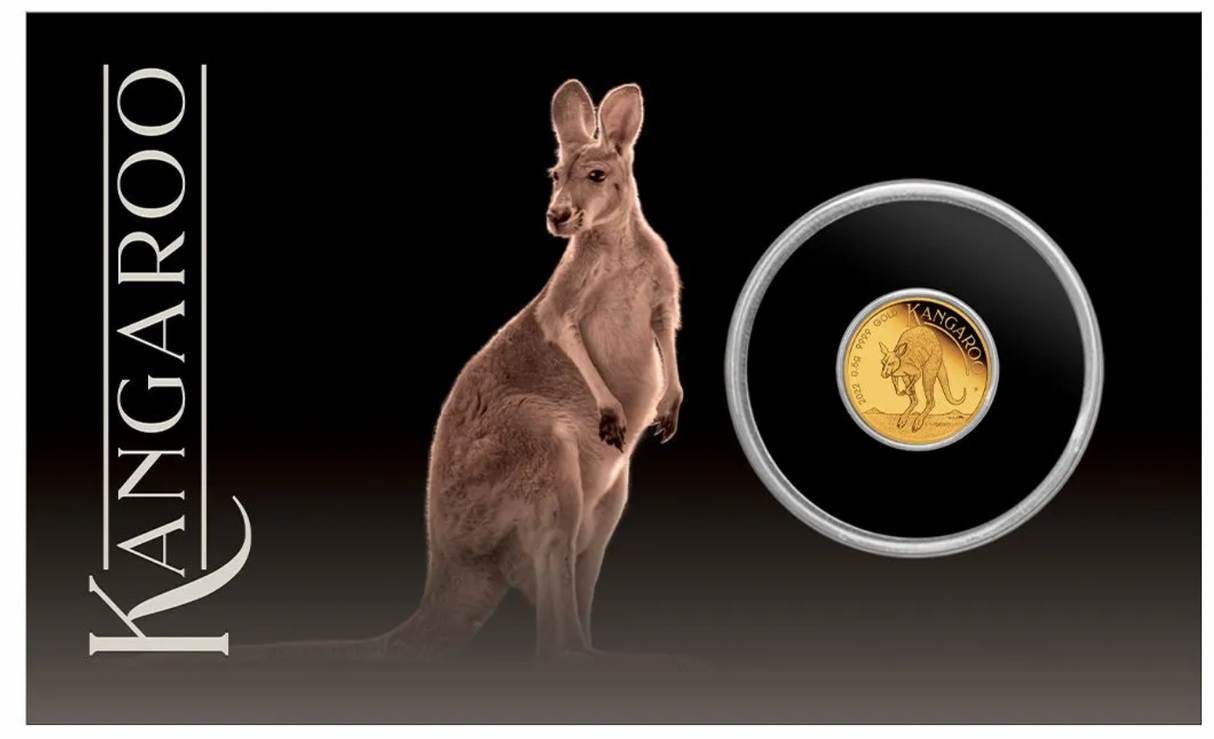 2022 $2 0.5g Mini Roo Gold Proof Carded Coin