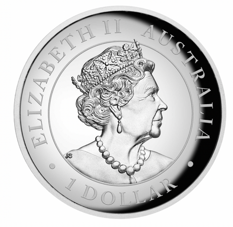 2022 Australian Kangaroo 1oz Silver Proof High Relief Coloured Coin