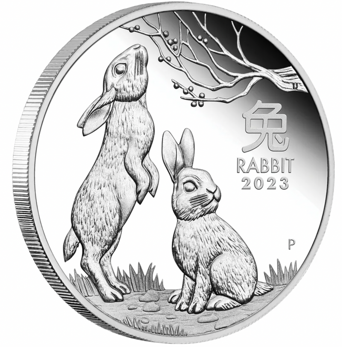 2023 Year Of The Rabbit 1/2oz Silver Proof Coin