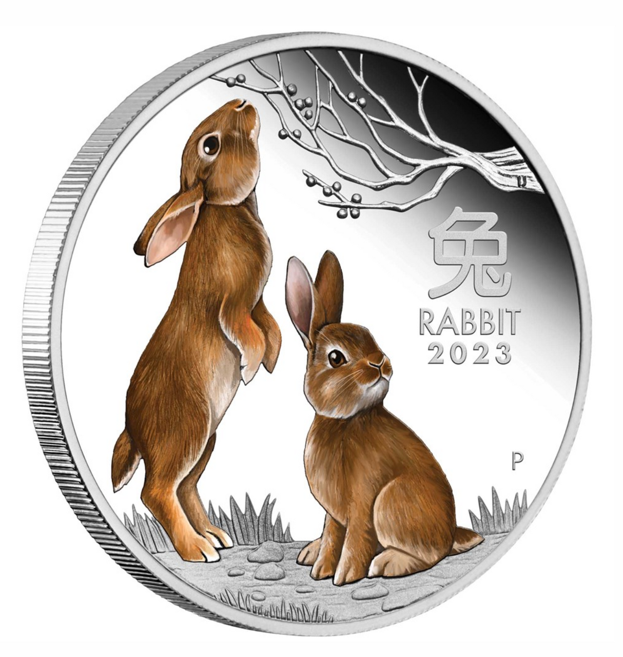 2023 Year of the Rabbit 1oz Silver Proof Coloured Coin