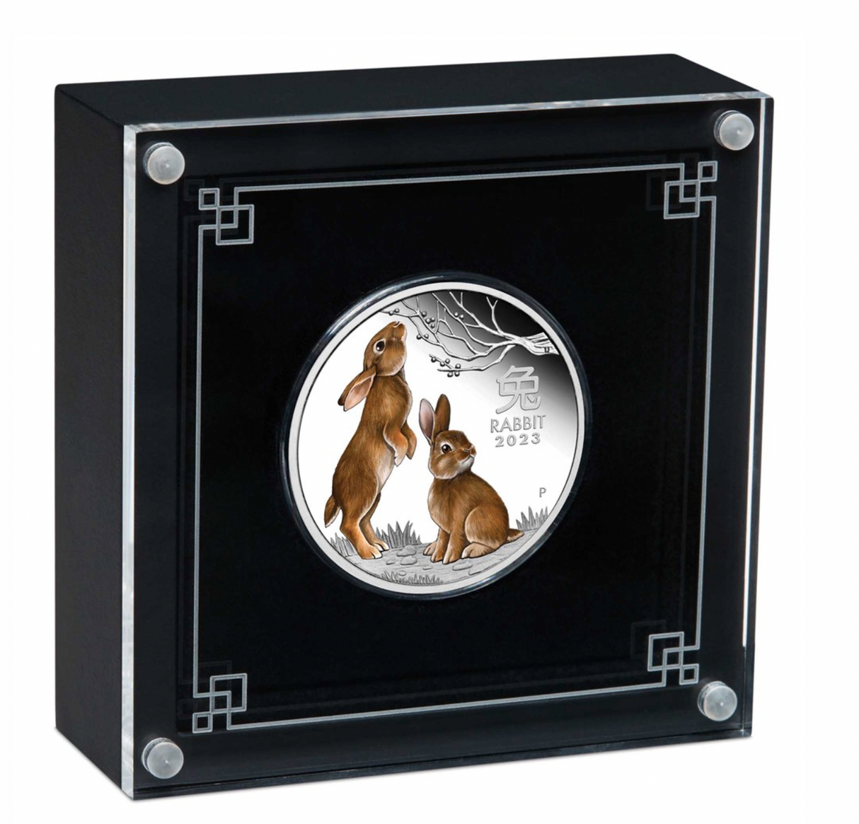 2023 Year of the Rabbit 1oz Silver Proof Coloured Coin