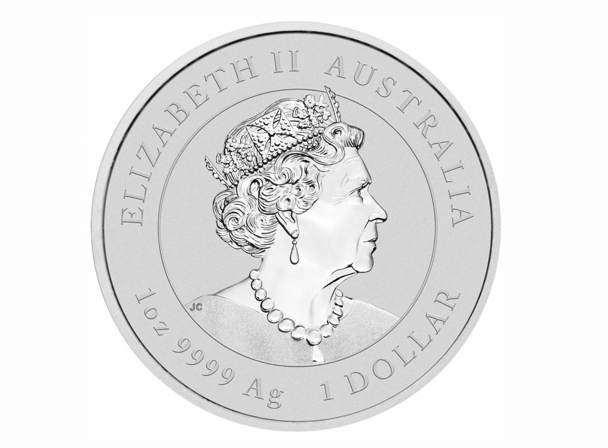 2023 Year of the Rabbit 1oz Silver Gilded Coin in Capsule