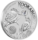 2023 ANDA Brisbane. Kookaburra with Brolga Privy Mark.