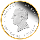 2026 1oz Silver Proof Gilded Coin Australia’s First Gold Rush 175th Anniversary