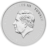 Stranger Things - The Upside Down 2026 1oz Silver Coloured Coin