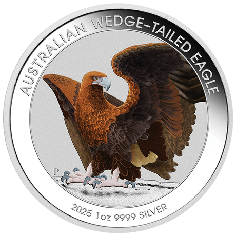 2025 1oz Silver Proof Coloured Coin in Card. Australian Wedge-Tailed Eagle.