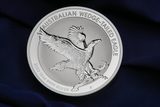 2023 AUSTRALIAN WEDGE-TAILED EAGLE 10oz SILVER INCUSED COIN