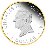 2026 Australian Nugget 40th Anniversary Gilded 1oz Silver Proof Coin