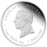 2024 One Love. 1oz Silver Proof Coin.
