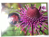 2015 Wildflowers. Medallion PMC. 4000 made.