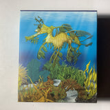 2009 Australian Sea Life The Reef Leafy Sea Dragon 1/2 ounce silver proof coin.