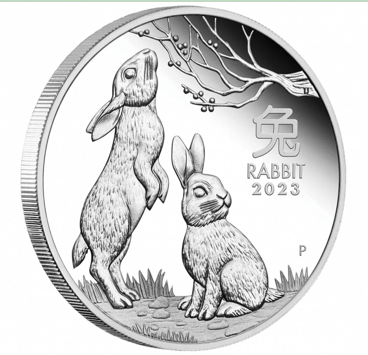 2023 Year Of The Rabbit 1oz Silver Proof Coin