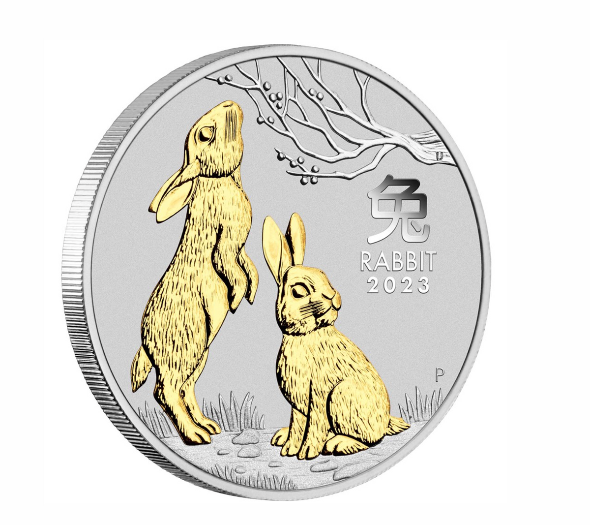 2023 Year of the Rabbit 1oz Silver Gilded Coin