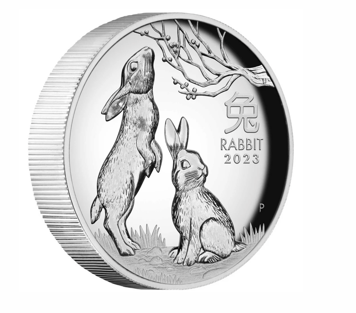 2023 Australian Lunar Series III Year of the Rabbit 1oz Silver Proof High Relief Coin