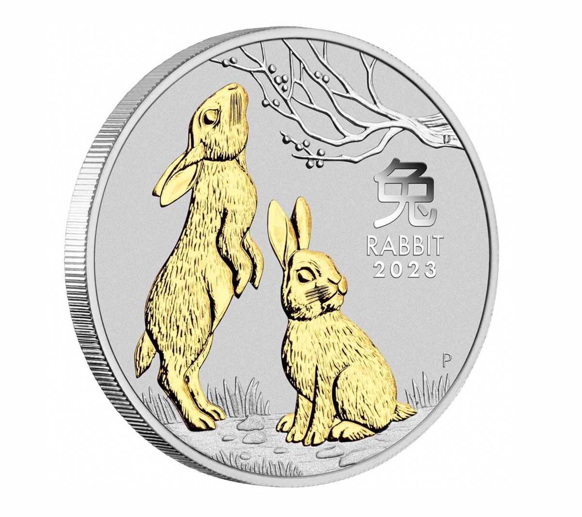 2023 Year of the Rabbit 1oz Silver Gilded Coin in Capsule